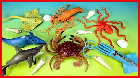 Learn Sea Animals Names And Facts Water Animals For Kids