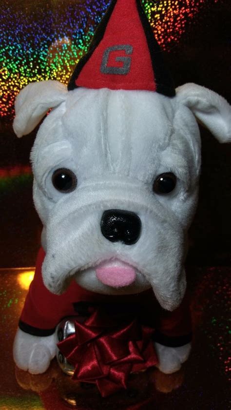 7 Best Uga The Bulldog Plush Toy Images On Pinterest Georgia Bulldogs