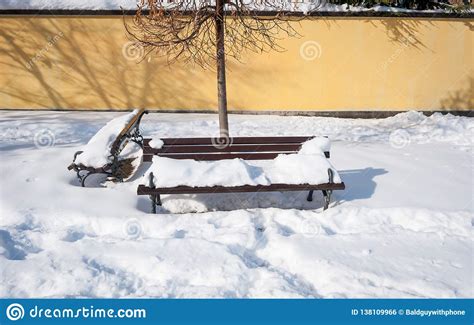 Wooden Bench On The Street Or In The Park Covered With Snow In The Winter Season In Trees