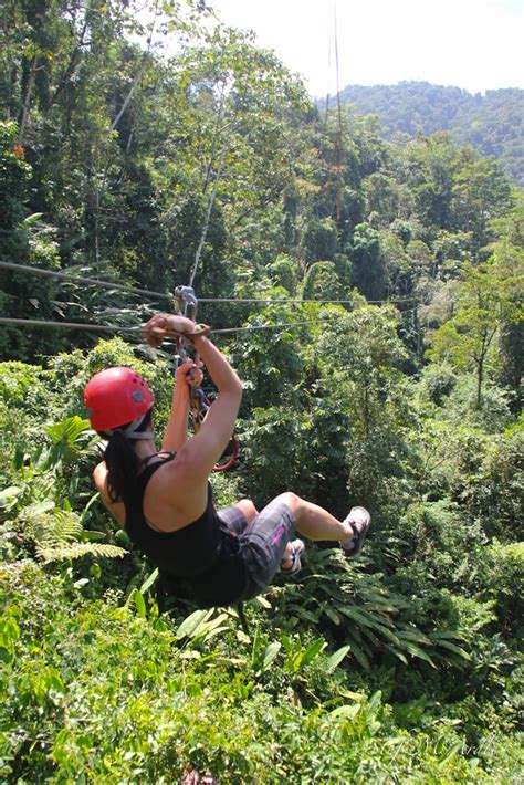 With incredible views of herradura bay. Zipline Canopy Tours Costa Rica | Activities Costa Rica ...