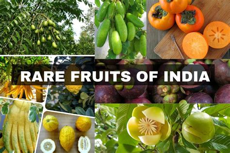 10 Unique And Rare Fruits In India