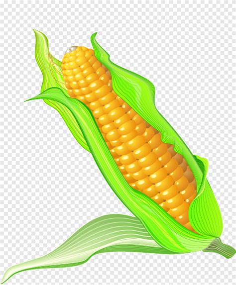 Corn On The Cob Maize Cartoon Cartoon Corn Cartoon Character Food