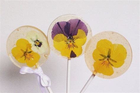 Giant eagles are far more than animals—they possess a supernatural intellect and view themselves as guardians and protectors of their mountain territories. Edible Flowers Lollipop Recipe | Flowersandflowerthings in ...