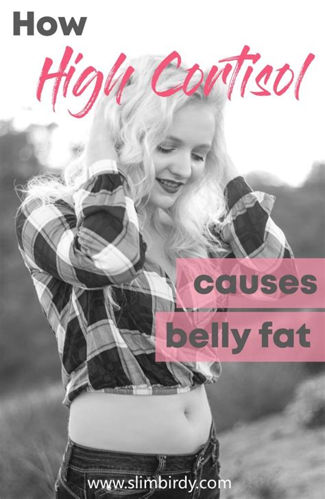 How High Cortisol Causes Belly Fat Slimbirdy