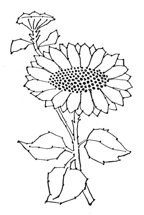 Sunflower embroidery pattern, pdf pattern, beginner embroidery pattern, sunflower cross stitch rustic farmhouse sunflower embroidery file,sunflower laurel pes,sunflower wreath dst,sunflower. Sunflower Line Drawing at GetDrawings | Free download