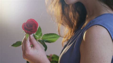 Woman Holding Red Rose Stock Footage Sbv 310775596 Storyblocks