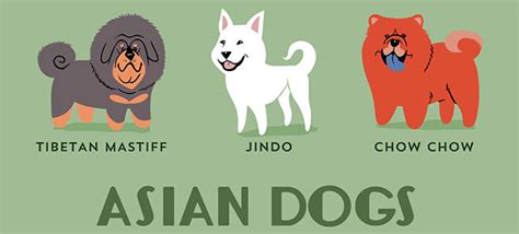 The Origins Of 200 Dog Breeds Explained In Adorable Posters Demilked