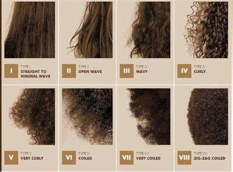 Textures Hair Chart Natural Hair Types Hair Texture Chart