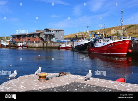 Boats At Eyemouth Harbour Stock Photo Alamy