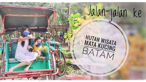 Kucing hutan termasuk salah satu jenis. Hutan Wisata Mata Kucing Batam | Wisata Alam - YouTube