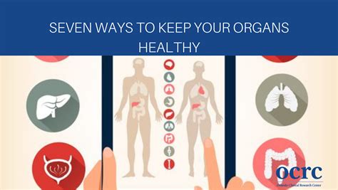 Seven Ways To Keep Your Organs Healthy