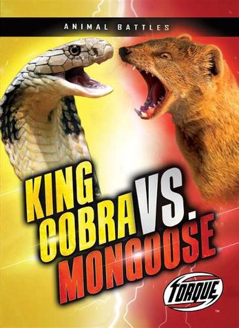 King Cobra Vs Mongoose By Kieran Downs English Hardcover Book