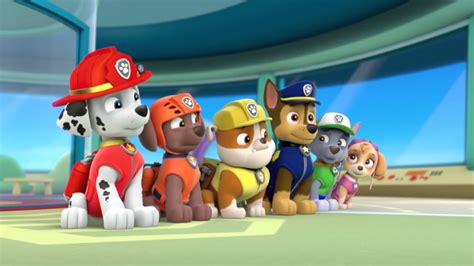 pups save ryder quotes paw patrol wiki fandom powered by wikia