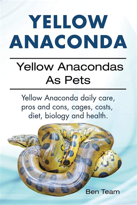 Pet Yellow Anaconda Anna Blog