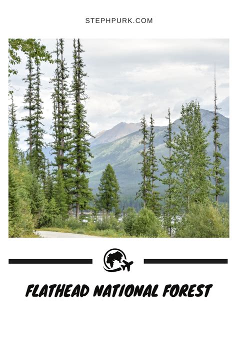 Flathead National Forest Artofit