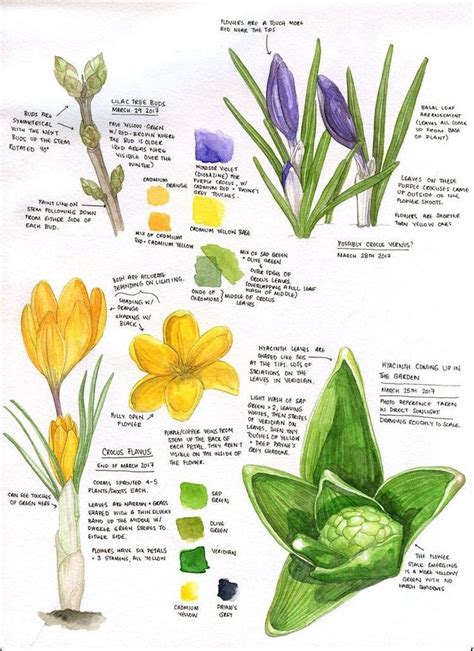 Pin By Maxie Jingles On Journaling For December Botanical Sketchbook