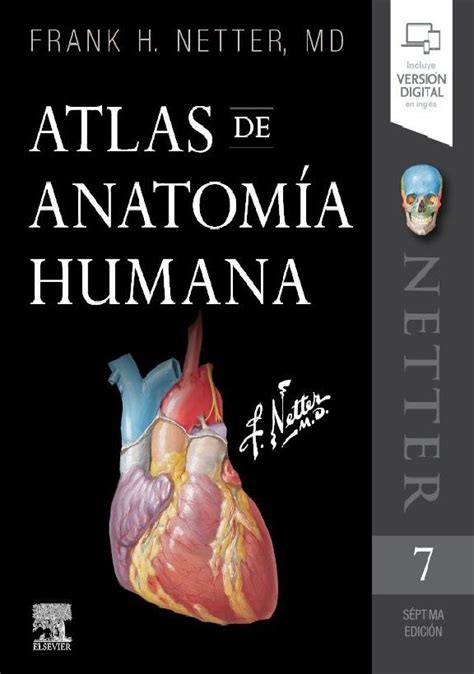Netter Atlas De Anatomía Humana 7ma Edición Frank H Netter