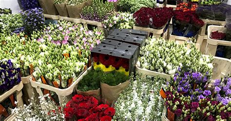 Po box 660070 sacramento ca 958660070 capital return plus defined benefit plan 22004 n 36th way phoenix az 85050 Jorja Luxton: Wholesale Flowers Dallas Open To Public ...