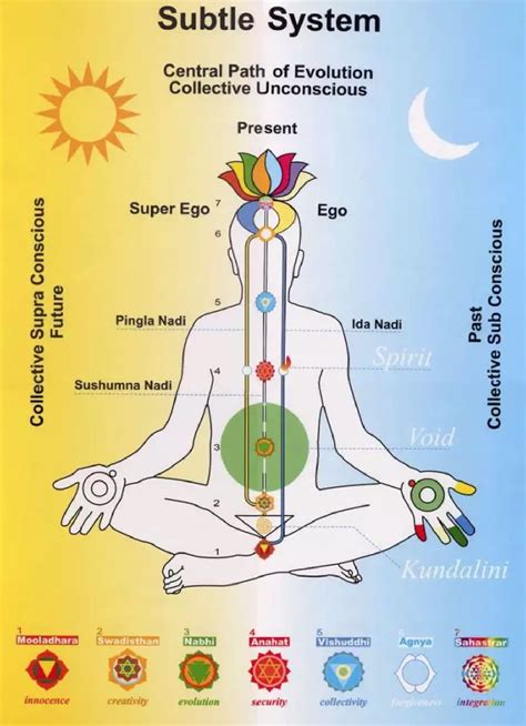 Understanding Human Energy Force The Seven Chakras Tanyamaya