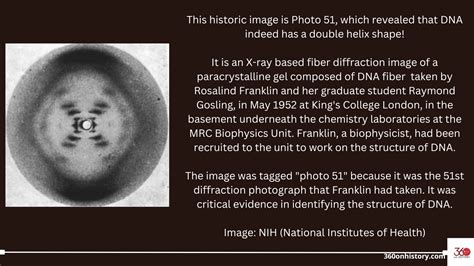 Photo 51 Of The Dna Double Helix By Rosalind Franklin 360 On History