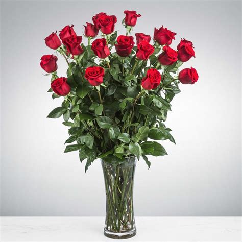 Two Dozen Long Stemmed Red Roses The Definitive Expression Of Lasting