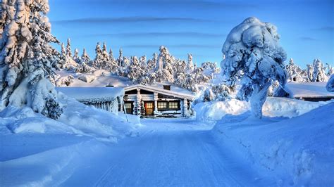 Schnee ist das hauptelement in vielen winterbildern. Hintergrundbilder Winter Weihnachten