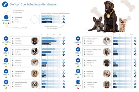 Das Ist Die Beliebteste Hunderasse In Deutschland Tag24