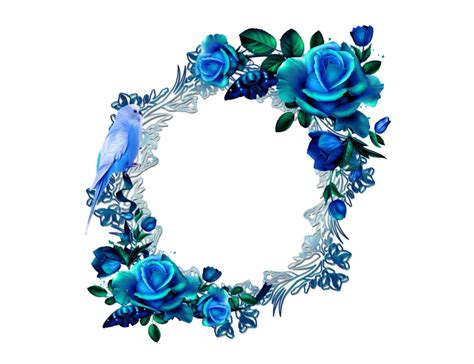 Floral Blue Frame Png Transparent Images Png All