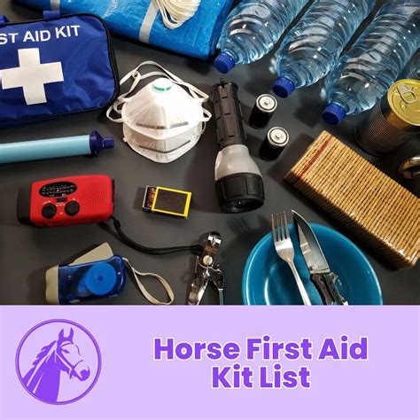 Horse First Aid Kit List Ownthehorse