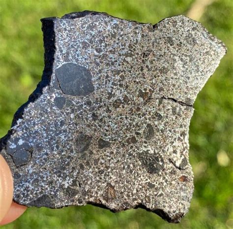 Mesosiderite Meteorite W Olivine And More Nwa 12949 232g A Rare