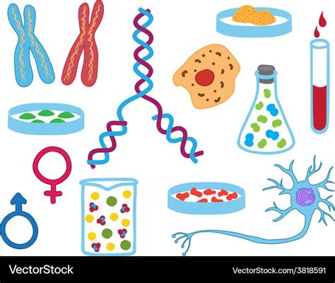 Biology Icons Royalty Free Vector Image Vectorstock