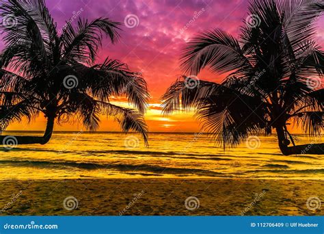 Purple Sunset On Tropical Beach On Koh Kood Island In Thailand Stock