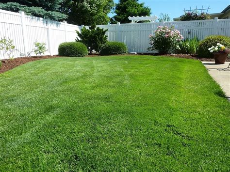 The lawn should be watered daily for at least three weeks to keep the seeds moist. 2021 Zoysia Sod Cost | Zoysia Grass Sod Prices