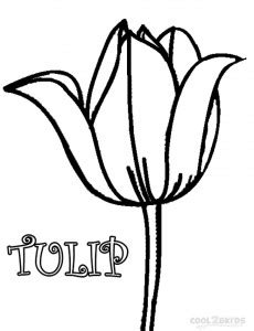 See more ideas about coloring pages, free coloring pages, coloring pages for kids. Printable Tulip Coloring Pages For Kids | Cool2bKids