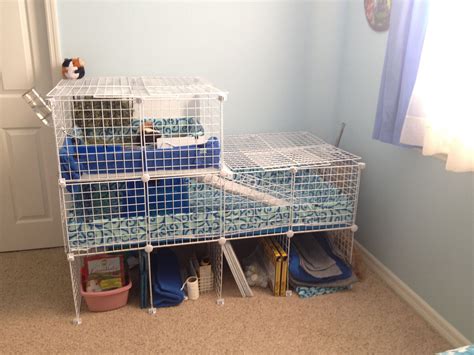 Guinea Pig Cages For Two