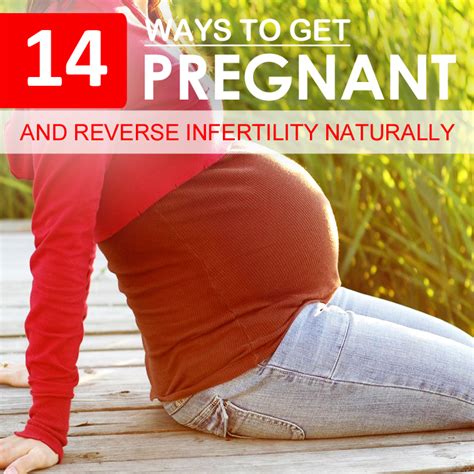 how to get pregnant fast and reverse infertility naturally healthier daily pregnant faster