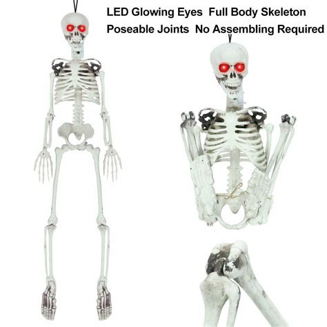 Posable Skeleton Life Size Posable Skeleton Daily Buy Store