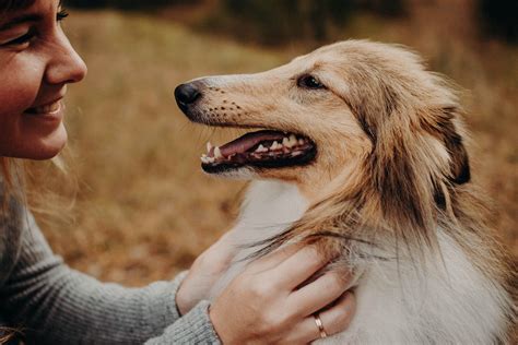 How Dogs Can Help Humans