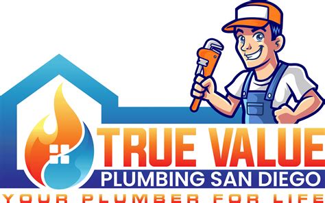 What Is The Best Way To Clean Drains True Value Plumbing San Diego