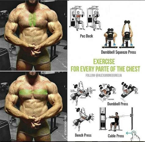 Exercises For Every Part Of The Chest Videos And Guides Weighteasyloss