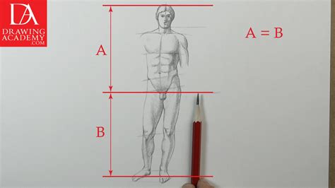 Proportion Of The Human Body Video Lesson By Drawing Academy Drawing Academy