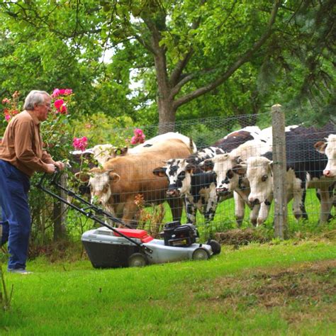 That is the case with dangerous tools, such as lawn mowers, chainsaws, and automobiles. It's moooving! | Outdoor, Favorite places, Funny