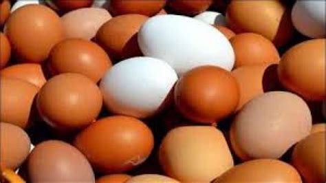 The white part of an egg, also known as the albumen. Weight loss: 14 tips to increase your protein consumption ...