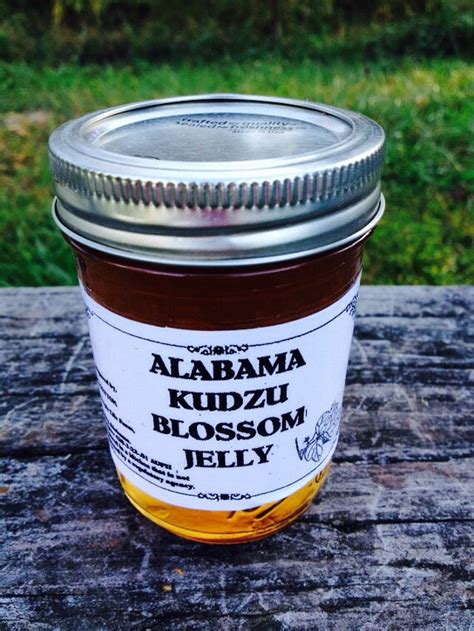 Alabama Kudzu Blossom Jelly By Kudzukreationz On Etsy