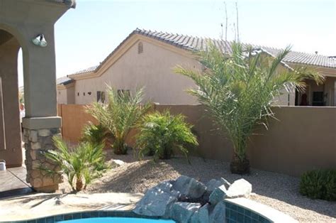 The arizona urban tree map (az utm) is a joint project of the arizona state forestry division and interior west and north. Tropical Arizona Pool - Landscaping Network