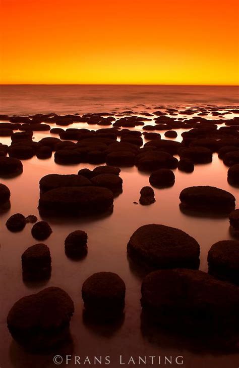 Stromatolites At Twilight Shark Bay Western Australia Frans Lanting