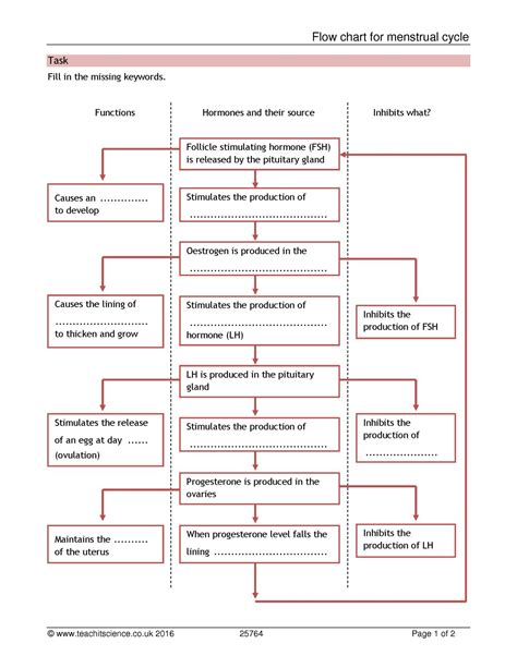 Menstrual Cycle Hormones Flow Chart