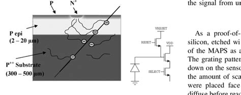 Schematic Cross Section Of A Monolithic Active Pixel Sensor Left And