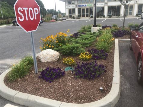 Commercial Plantings And Design Donnellan And Sons Landscaping
