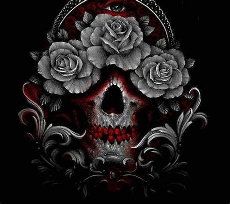 720p Free Download Skull And Rose Roses Hd Wallpaper Peakpx